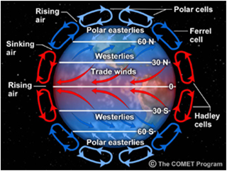 Global Wind Chart