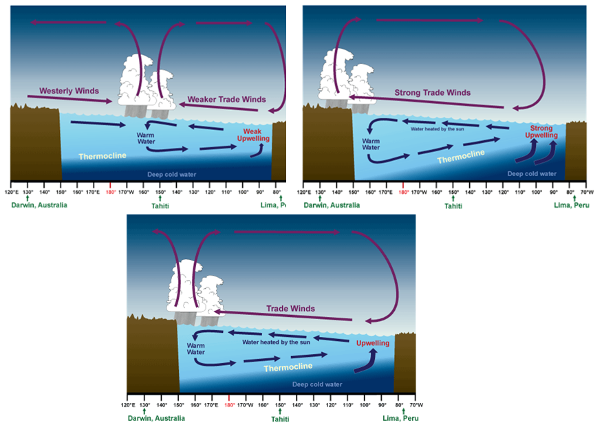 Schematic of El Nino and La Nina