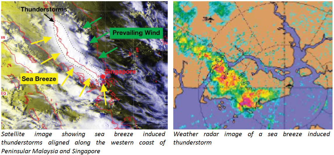 Wind Chart Singapore