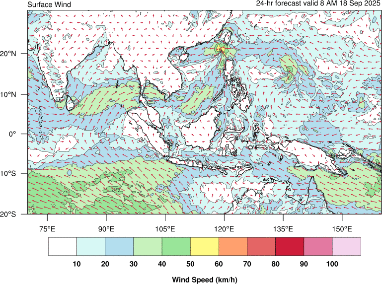 24 hour surface wind forecast