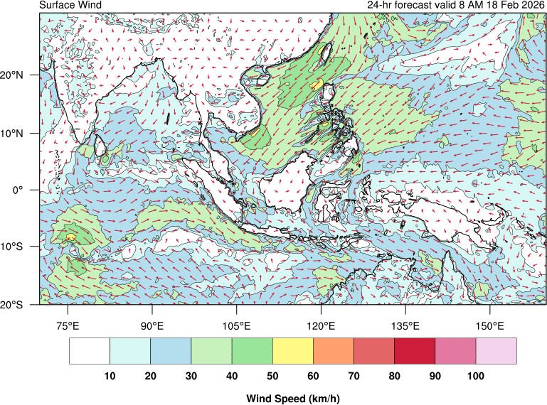 24 hour surface wind forecast