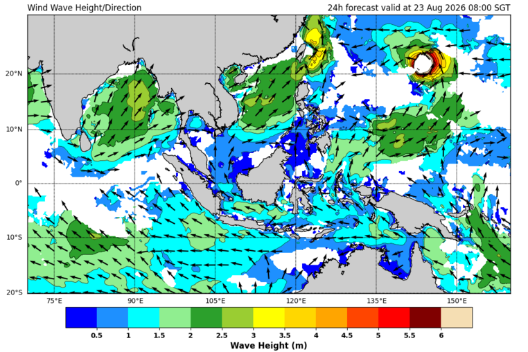 24 hour wave forecast