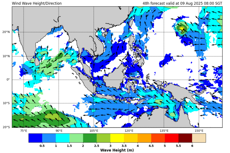 48 hour wave forecast