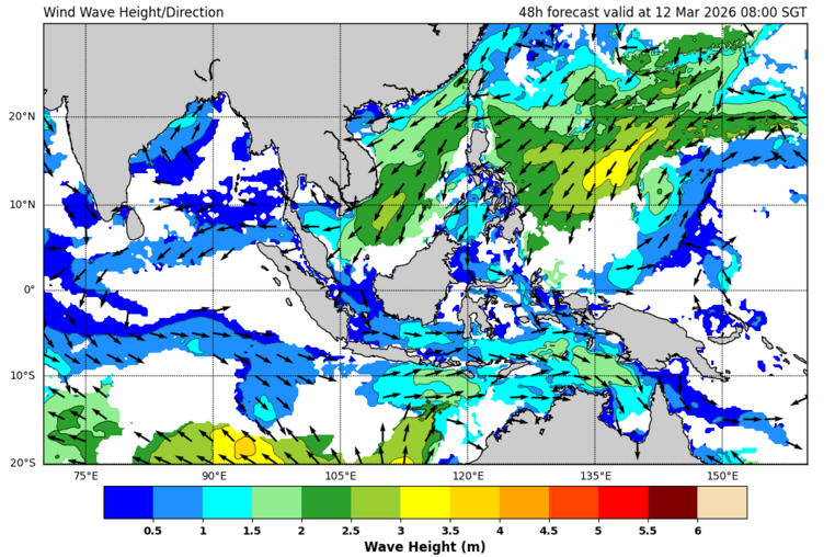 48 hour wave forecast