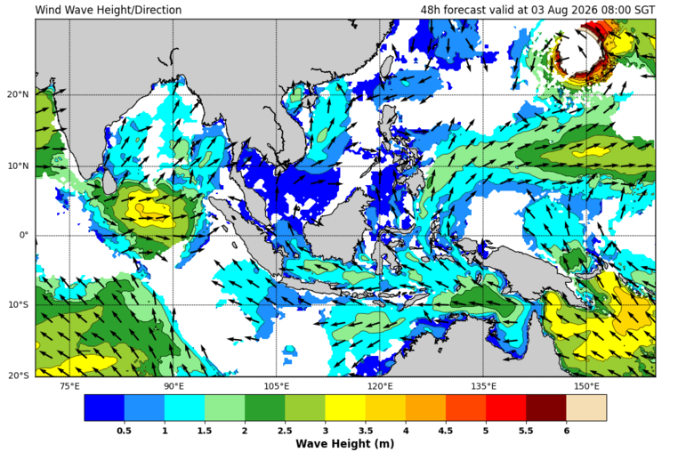 48 hour wave forecast