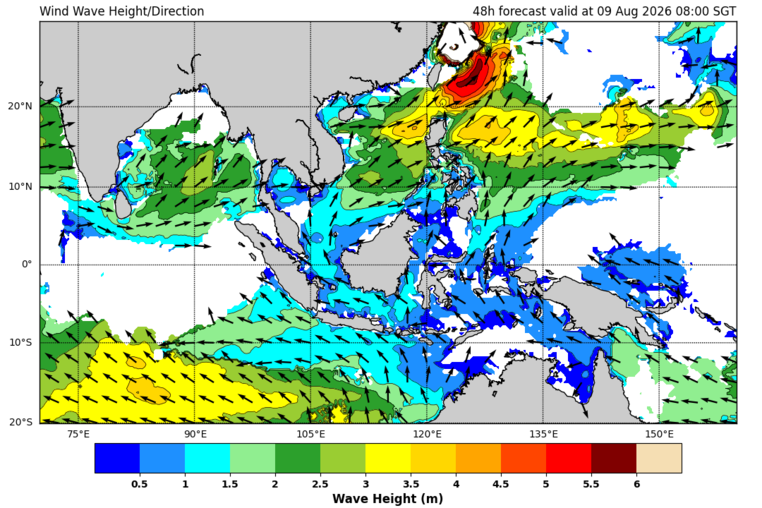 48 hour wave forecast
