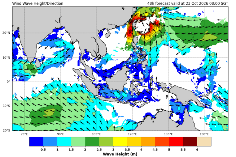 48 hour wave forecast